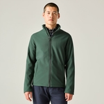 Dark Spruce Black