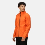 Magma Black