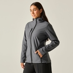 Seal Grey Black