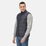 Seal Grey Black