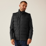 Black Seal Grey