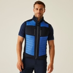 Strong Blue Navy