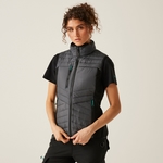 Seal Grey Black