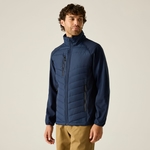 Navy Ash