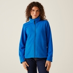 Oxford Blue