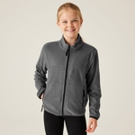Seal Grey