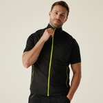 Black Lime Green