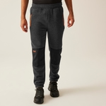 Seal Grey