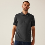 Seal Grey