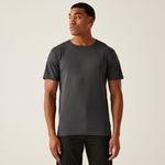 Seal Grey