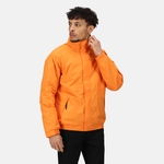 Sun Orange Seal Grey