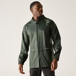 Dark Olive 